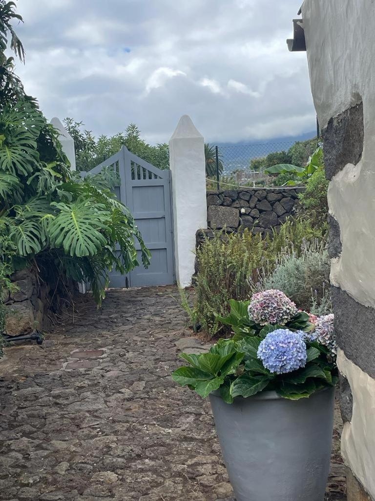 Casas La Principal Guest House San Pedro  Exterior photo