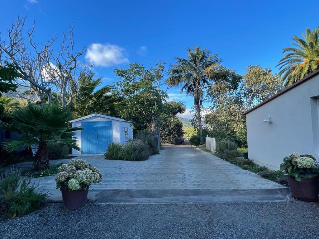 Casas La Principal Guest House San Pedro  Exterior photo
